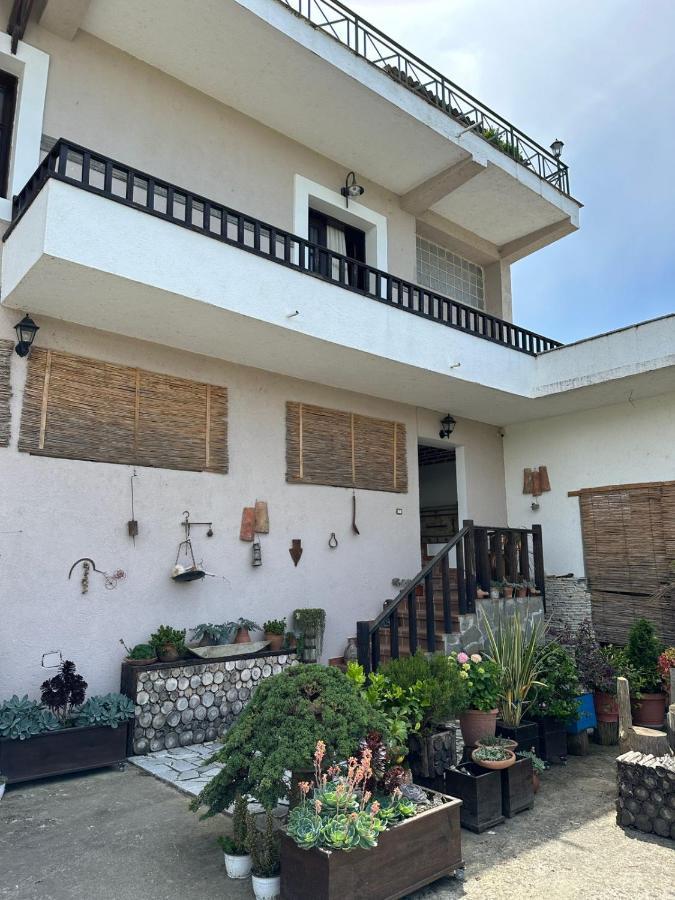 Bed & Breakfast Local Living Edi Berat Dış mekan fotoğraf