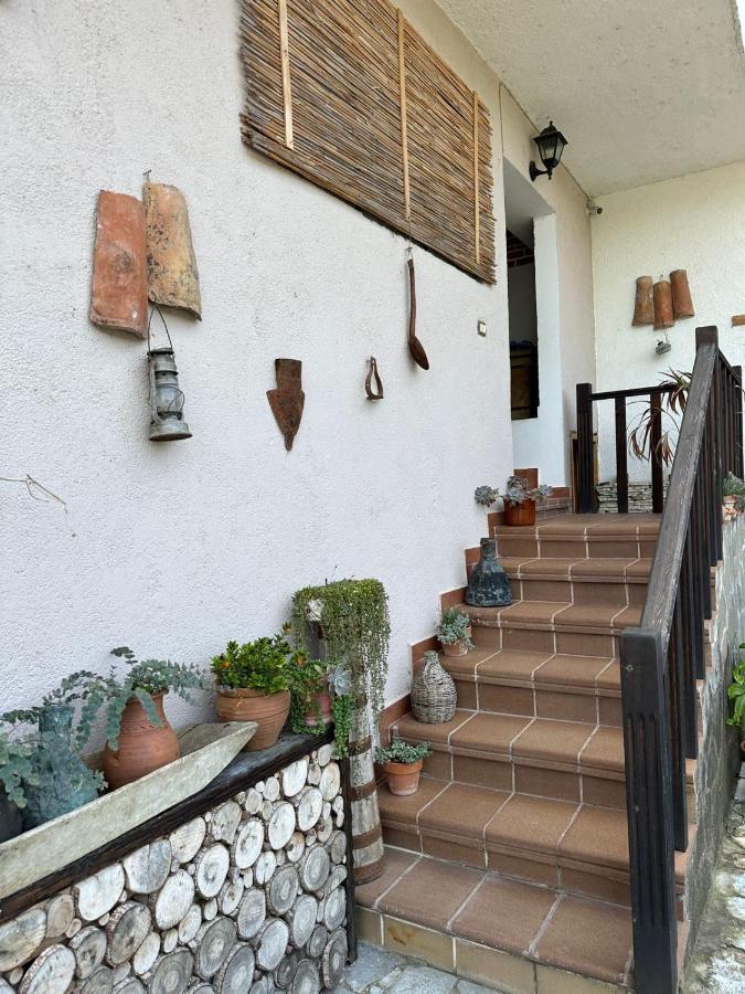 Bed & Breakfast Local Living Edi Berat Dış mekan fotoğraf